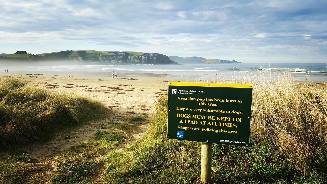 Kaka Point Spa Accommodation - Catlins Bagian luar foto
