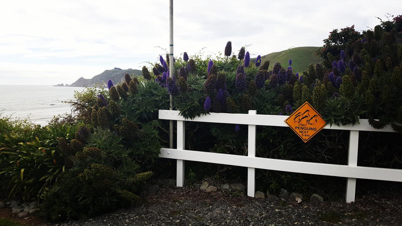 Kaka Point Spa Accommodation - Catlins Bagian luar foto