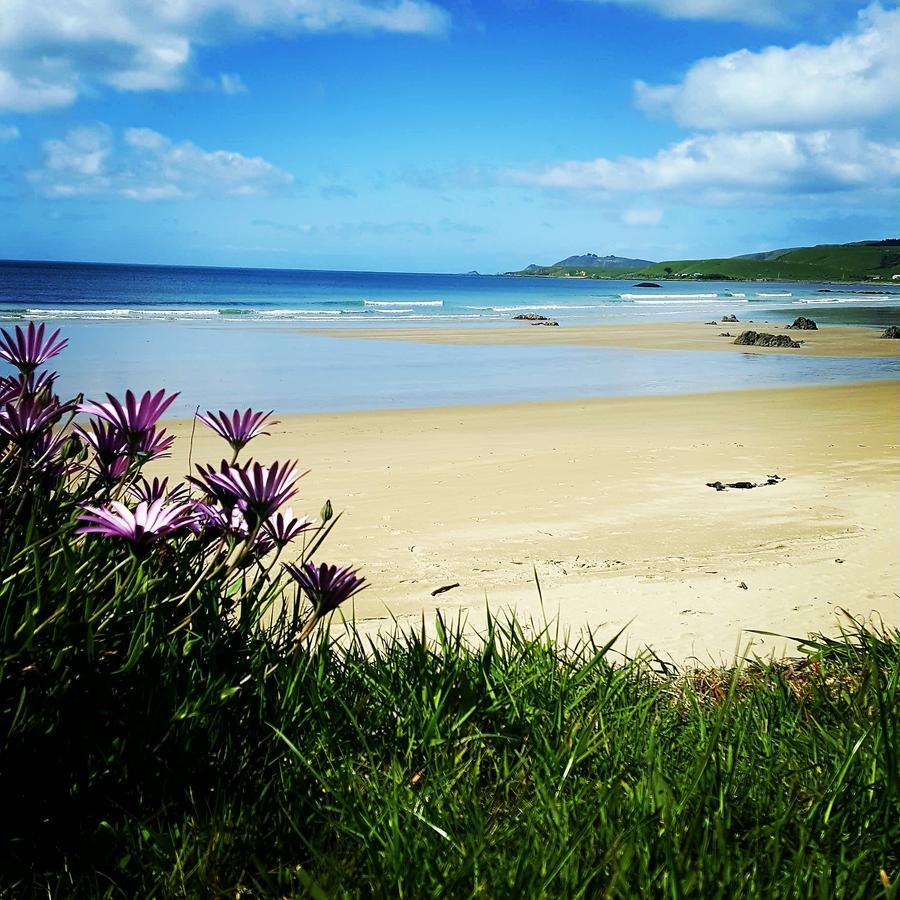 Kaka Point Spa Accommodation - Catlins Bagian luar foto