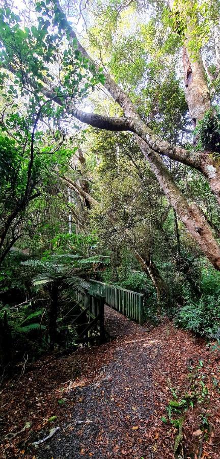 Kaka Point Spa Accommodation - Catlins Bagian luar foto